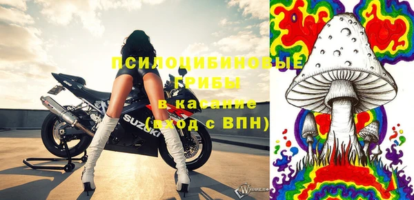 ПСИЛОЦИБИНОВЫЕ ГРИБЫ Россошь