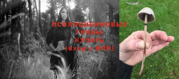 кокс Ростов