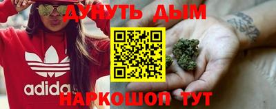 apvp Коммунар