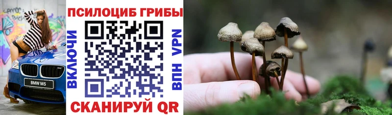 магазин    Костомукша  Галлюциногенные грибы мухоморы 